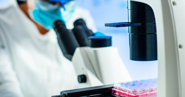 Bolile care se pot trata cu celule stem