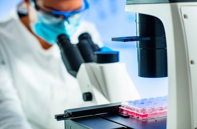 Bolile care se pot trata cu celule stem