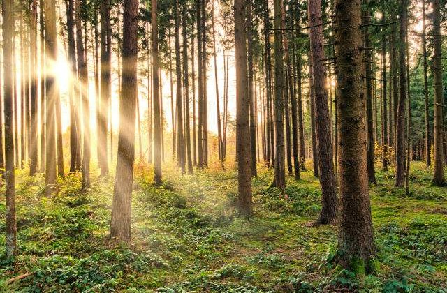 Prognoza meteo pentru weekend: Cum va fi vremea de Ziua Copilului