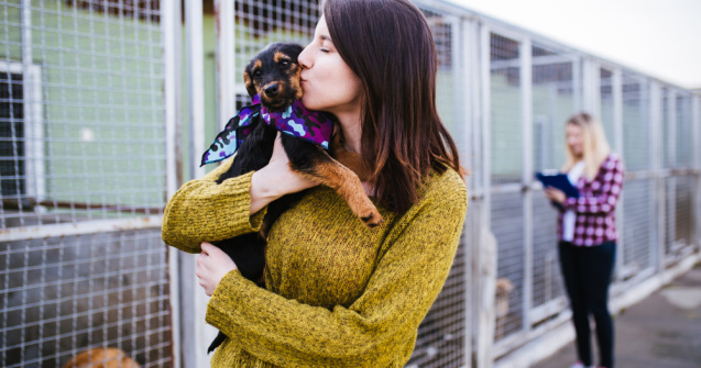 Târg de adopție a câinilor, organizat sâmbătă la București