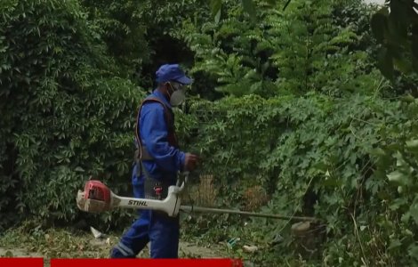 Cosași bengalezi în Galați. Ce salariu primesc muncitorii din Bangladesh