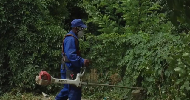 Cosași bengalezi în Galați. Ce salariu primesc muncitorii din Bangladesh