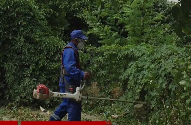 Cosași bengalezii &icirc;n Galați; nu s-au găsit rom&acirc;ni pentru a tăia iarba. Ce salariu primesc muncitorii din Bangladesh 