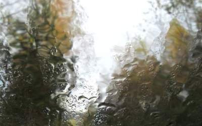 Cod galben de PLOI si VIJELII...