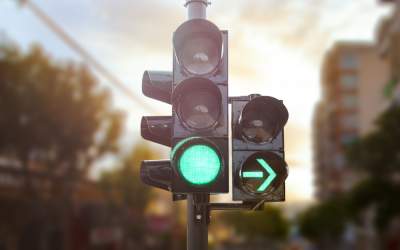 Un tânăr din Suceava a tăiat...