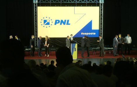 Primarul din Lugoj ar putea fi exclus din PNL