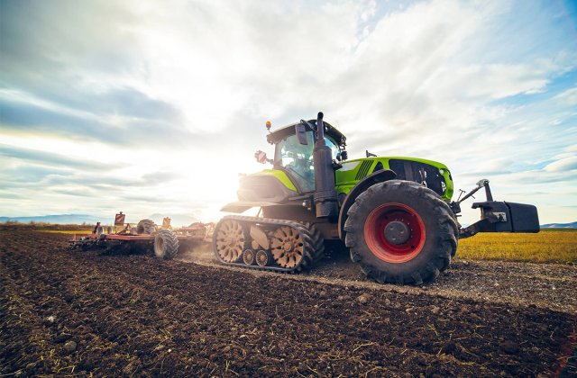 Importanța agriculturii și creșterii animalelor pentru dezvoltarea societății!
