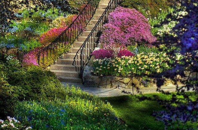 [FOTO] TOP 10 cele mai frumoase gradini din lume