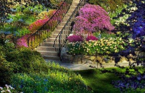  Top   Foto  TOP 10 cele mai frumoase gradini din lume
