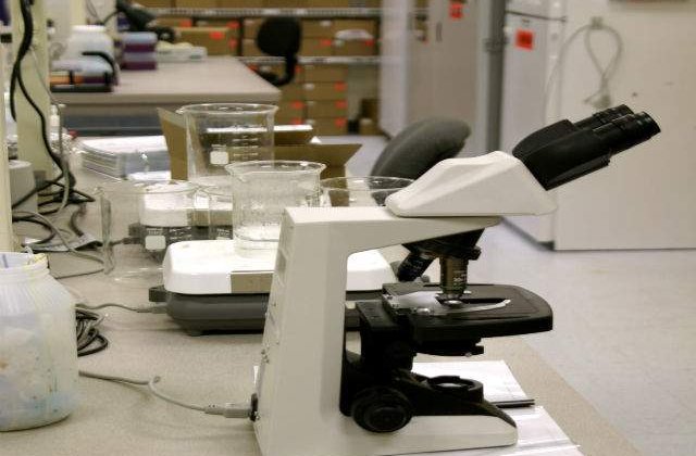 Studiu: Hormonii masculini, factori de risc pentru autism