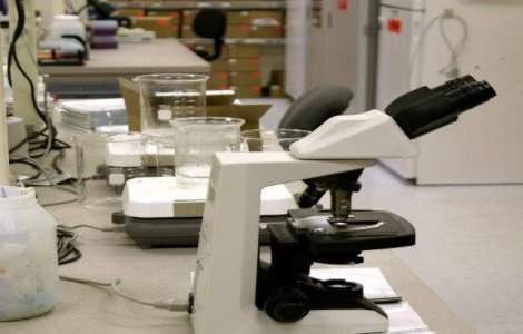 Studiu: Hormonii masculini, factori de risc pentru autism