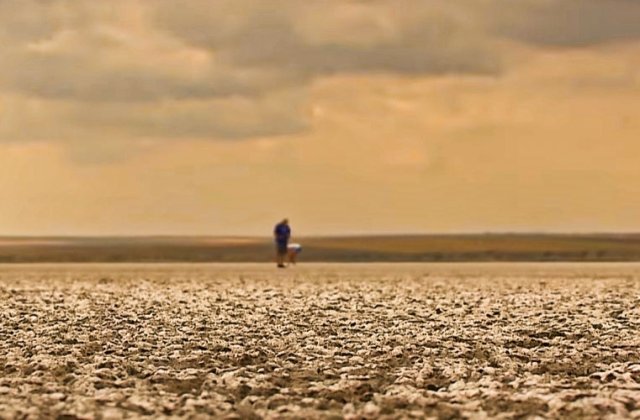 Deșertificarea Rom&acirc;niei: Cum poate fi combătută seceta? Guvernul nu s-a implicat