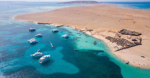 MAE: Româncă decedată în urma atacului unui rechin în Egipt