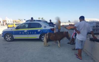 VIDEO Doi ponei exploatați în...