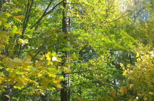 Meteo: Cum va fi vremea in weekend