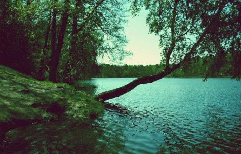  Top  Prognoza meteo: Starea vremii in urmatoarele doua saptamani