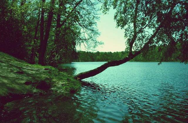 Prognoza meteo: Starea vremii in urmatoarele doua saptamani