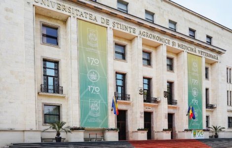 Admiterea la cele 7 facultăți ale Universității de Ştiinţe Agronomice şi Medicină Veterinară din București