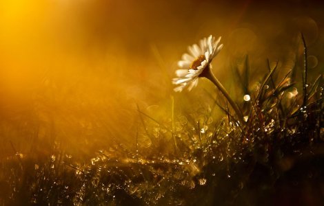 Prognoza meteo ANM pentru vineri, 8 iulie. Vremea se încălzește
