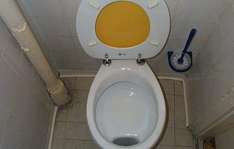 Toaleta publica de peste 73.000 de euro intr-un parc din Romania