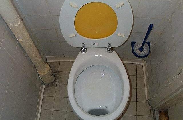 Toaleta publica de peste 73.000 de euro intr-un parc din Romania