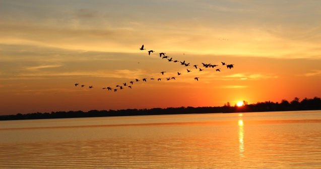 Prognoza meteo ANM pentru weekendul 9 - 10 iulie.