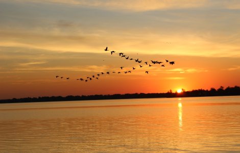 Prognoza meteo ANM pentru weekendul 9 - 10 iulie.