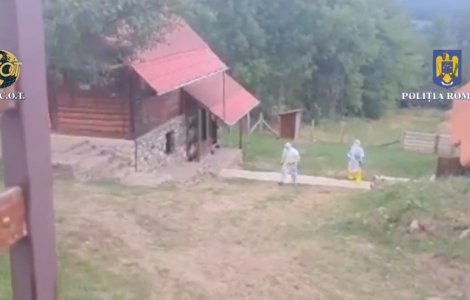 Primul laborator de extragere a cocainei din România, descoperit în Bihor