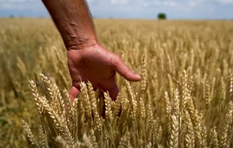 Fermierii cer declararea stării de calamitate