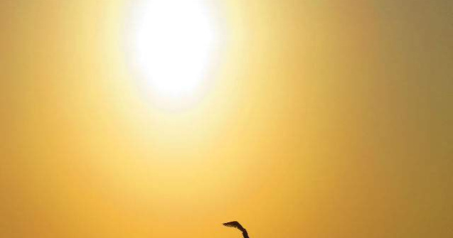 Studiu: Cremele de protectie solara, insuficiente inpotriva cancerului de piele