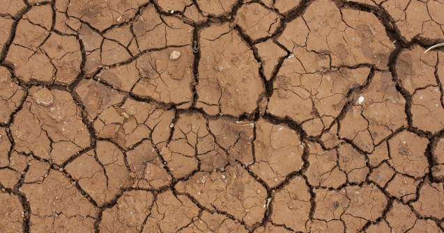 Prognoza meteo ANM pentru vineri, 22 iulie. Cod galben și cod portocaliu de caniculă