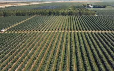 Afacere profitabilă pentru...