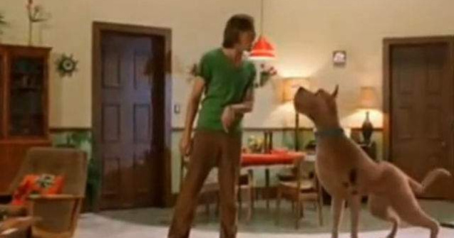 Un nou film cu Scooby-Doo se pregateste la Hollywood