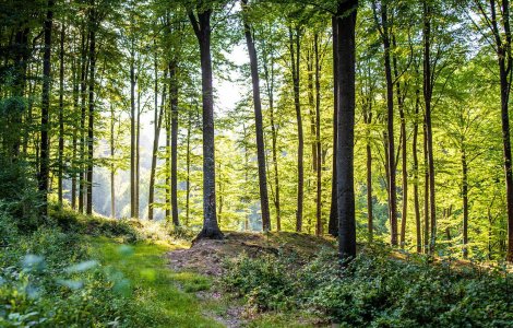 Prognoza meteo ANM pentru vineri, 29 iulie. Vremea se va menține călduroasă în cea mai mare parte a țării