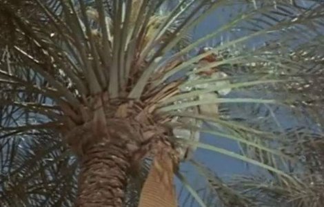  Video  Cum arata Irakul inainte de a intra in starea de conflict