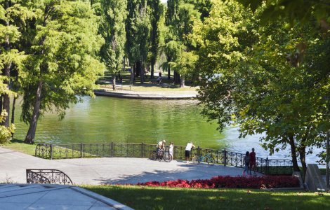 Incendiu de proporții în Parcul IOR din București