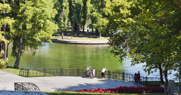 Incendiu de proporții în Parcul IOR din București