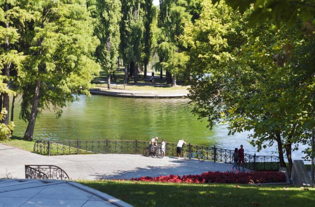 Incendiu de proporții &icirc;n Parcul IOR din București