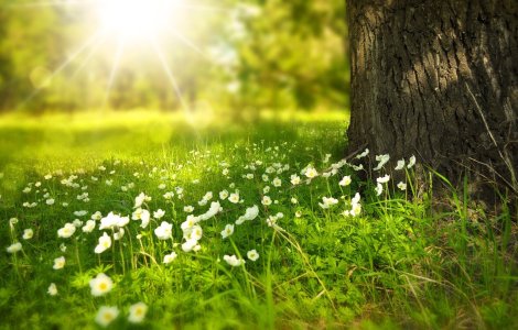 Prognoza meteo ANM pentru miercuri, 3 august. În jumătatea de sud-vest va fi foarte cald