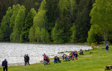 Intedicție de a mai vizita Lacul Sfânta Ana și Tinovul Mohoș pentru cei prinși că hrănesc urșii