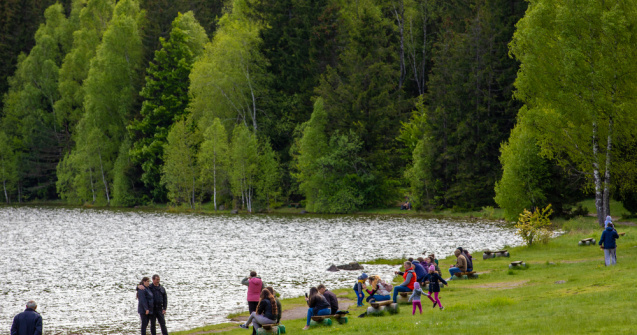 Intedicție de a mai vizita Lacul Sfânta Ana și Tinovul Mohoș pentru cei prinși că hrănesc urșii
