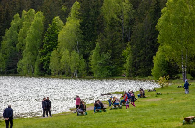 Intedicție de a mai vizita Lacul Sf&acirc;nta Ana și Tinovul Mohoș pentru cei prinși că hrănesc urșii 