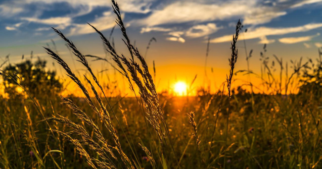 Prognoza meteo ANM pentru joi, 4 august. Căldura se extinde