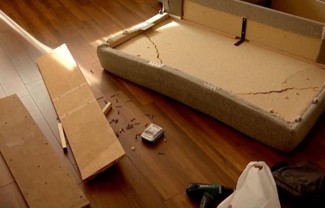 Proprietarul unui apartament din Mamaia a văzut pe TikTok cum îi distrug casa chiriașii