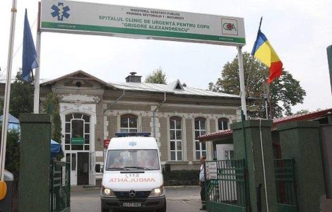 Gemenele gasite intr-o scara de bloc din Sectorul 6, in stare buna