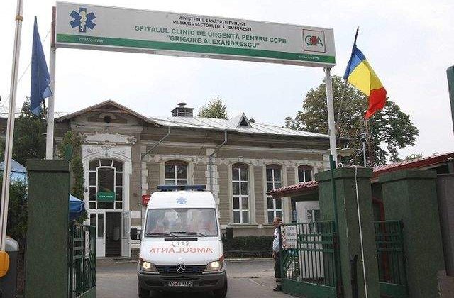 Gemenele gasite intr-o scara de bloc din Sectorul 6, in stare buna