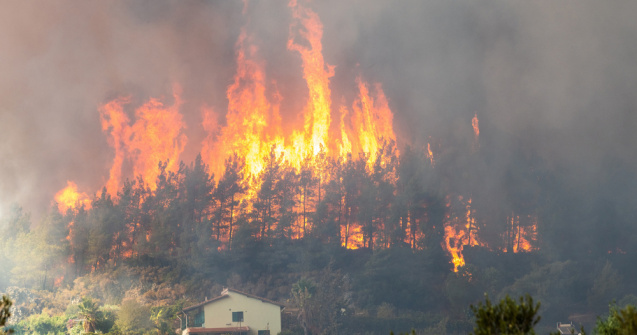 Incendii devastatoare în Thassos. MAE îndeamnă românii să evite zona