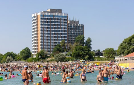 Aplicația mobilă SEA STATUS. La ce ajută și cum funcționează aceasta