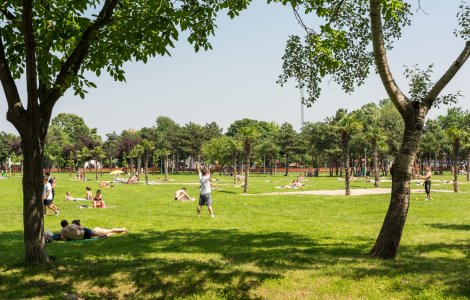 Situația epidemiologică COVID-19 din România în ultimele 24 de ore