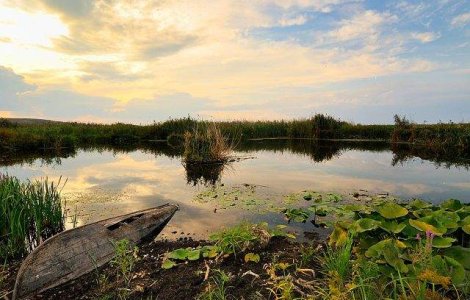  Top  Zece lucruri INEDITE care te vor face sa iubesti Delta Dunarii